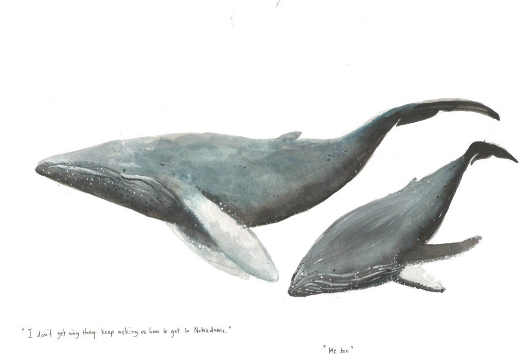 EXP_Humpack of Notredame