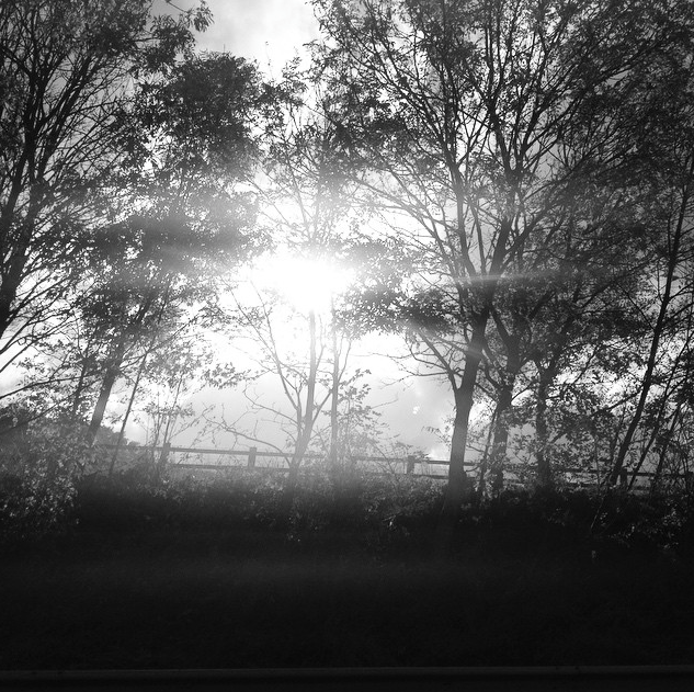 Screen Shot 2015-07-12 at 11.44.21 PM